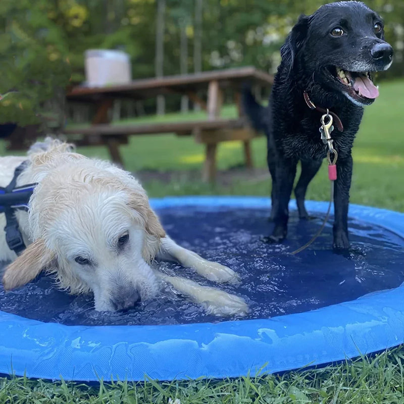 Piscina Pet Splash