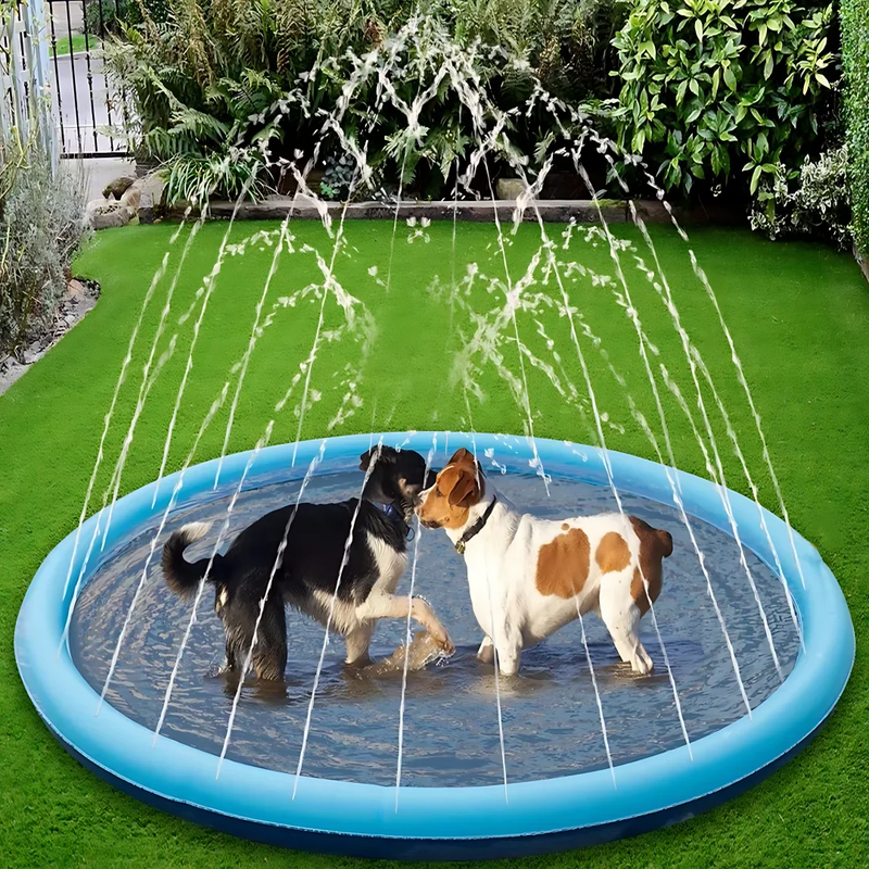 Piscina Pet Splash